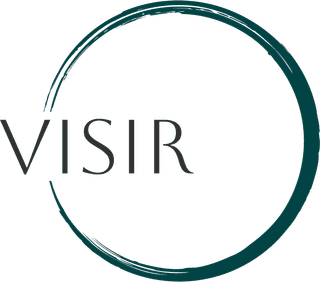 Logo Visir